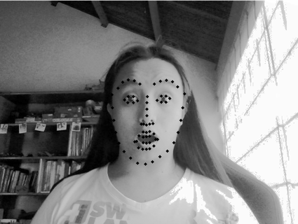 Landmark identification